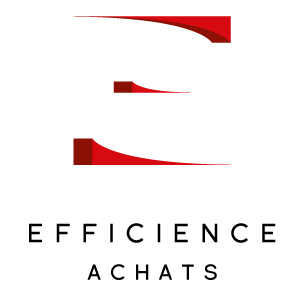 logo efficience achats